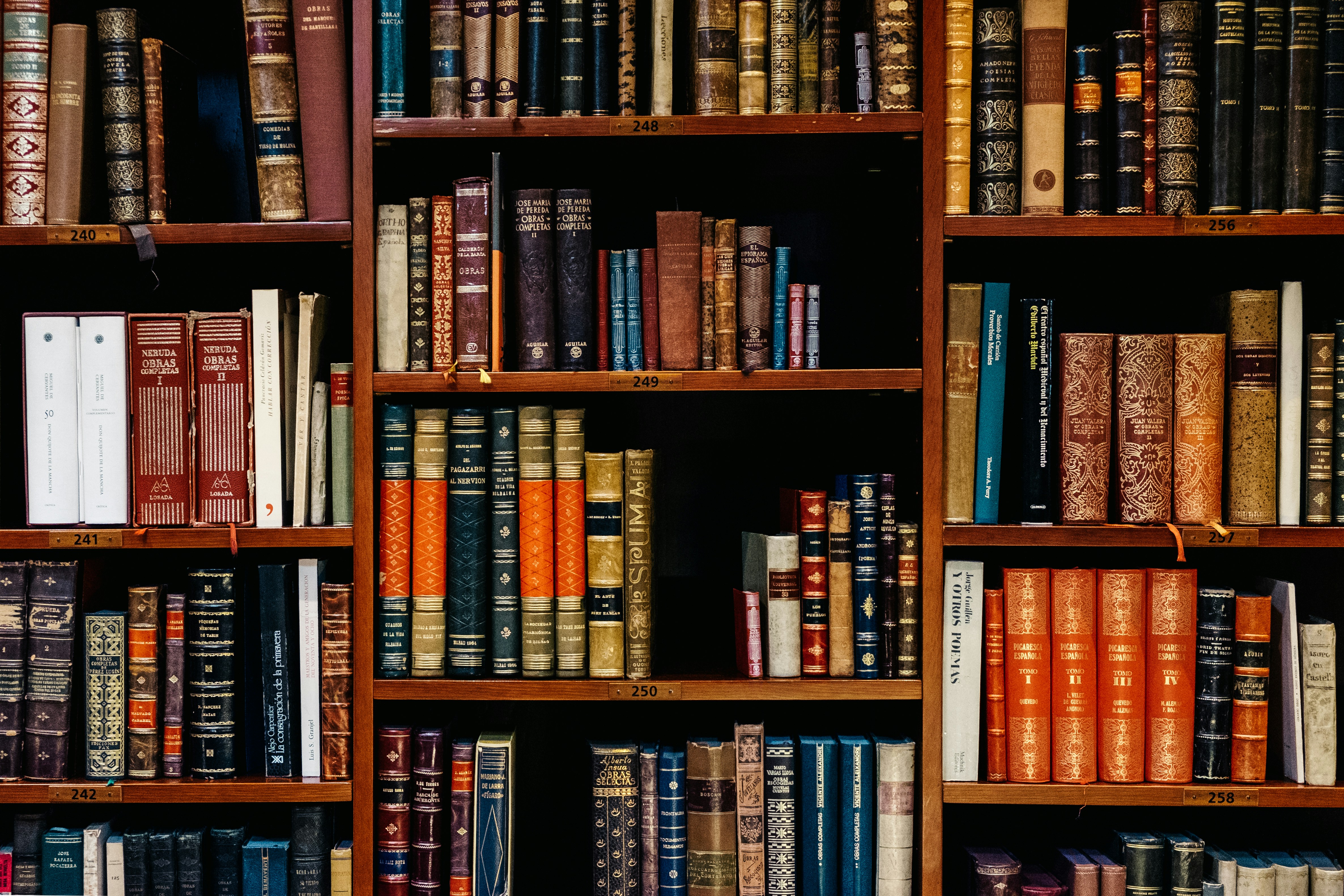 close-up photo of book shelves full of books